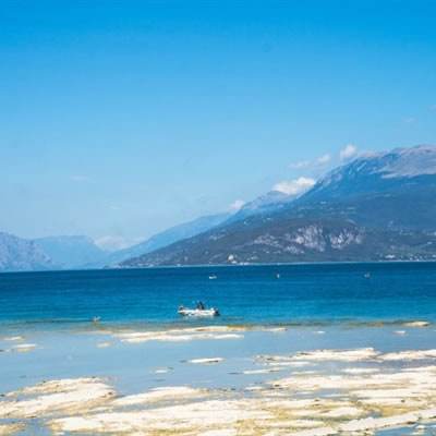 澳门新莆京游戏手机app下载截图