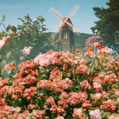 BOB体育综合官方平台APP