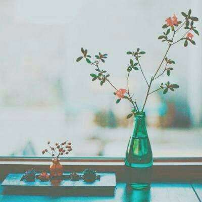 开元棋脾官方网站