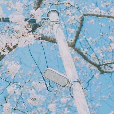 亿博app下载官网体育