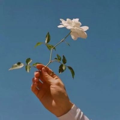 百人牛牛游戏软件下载手机版