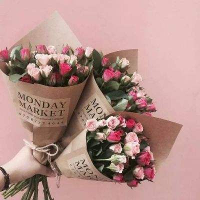 半岛·综合下载手机版