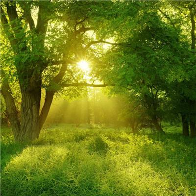 亚新·体育截图