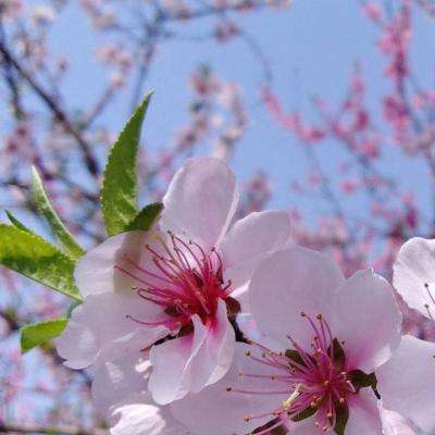 乐发app下载安装官网